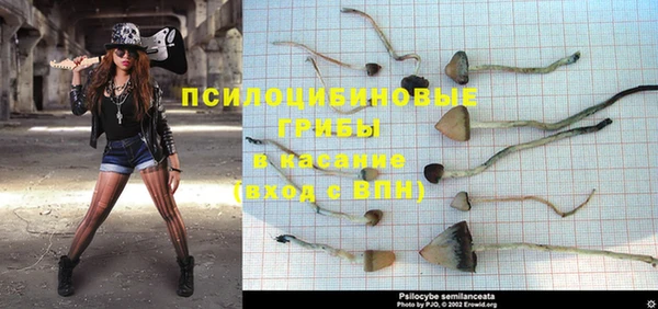 стаф Михайловка