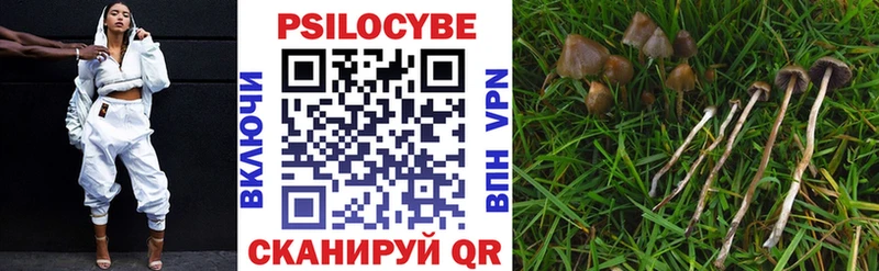 Псилоцибиновые грибы прущие грибы  Купить  Дзержинск 